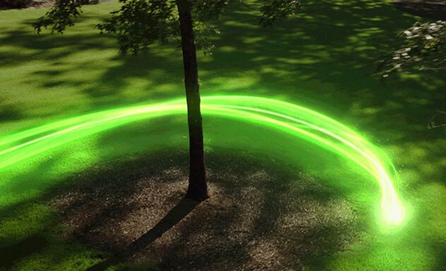 Green light rounding a tree in backyard