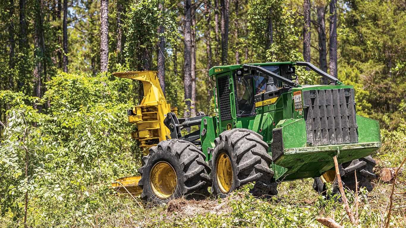 John&nbsp;Deere wheeled feller buncher removing trees in forest.