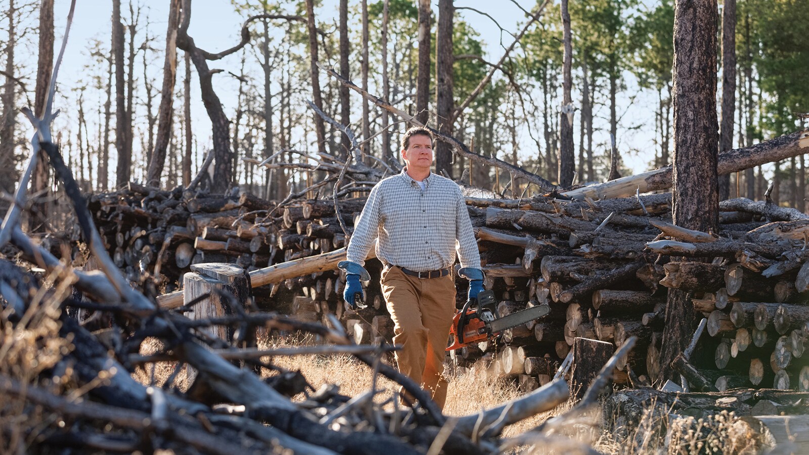 Neil Behnke walks through remains of the Black Forest in Colorado.