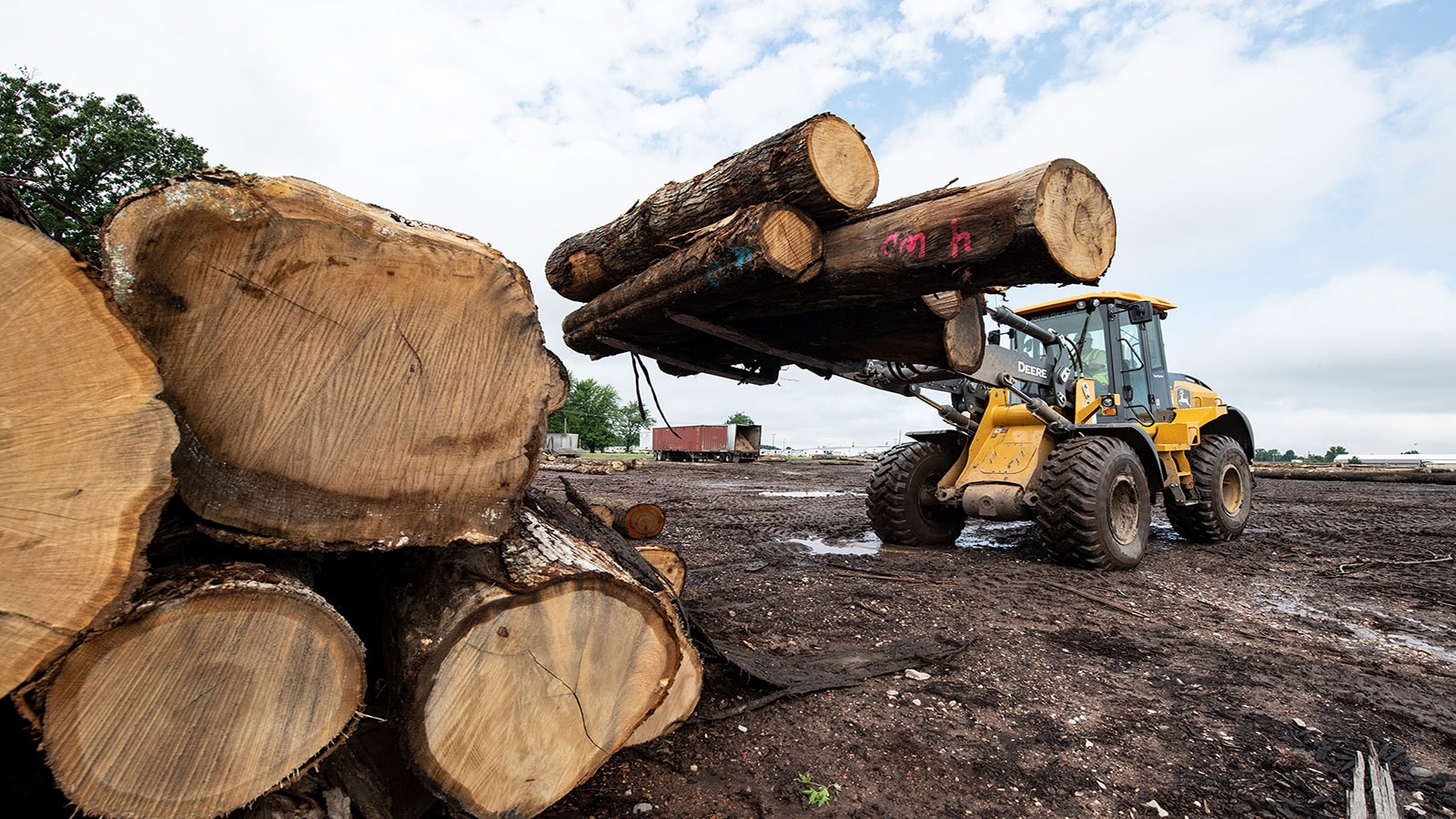 A 524L lifts three large lohgs high on to a stack of timber.