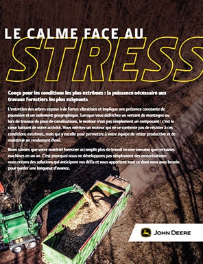 Guide de sélection de l’entretien des arbres