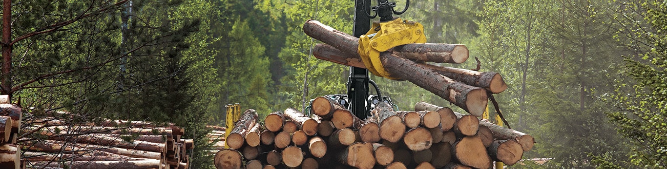 Un porteur John Deere transportant du bois