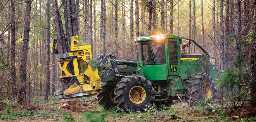 634L-II Wheeled Feller Buncher works in the woods with several trees already cut in the felling head
