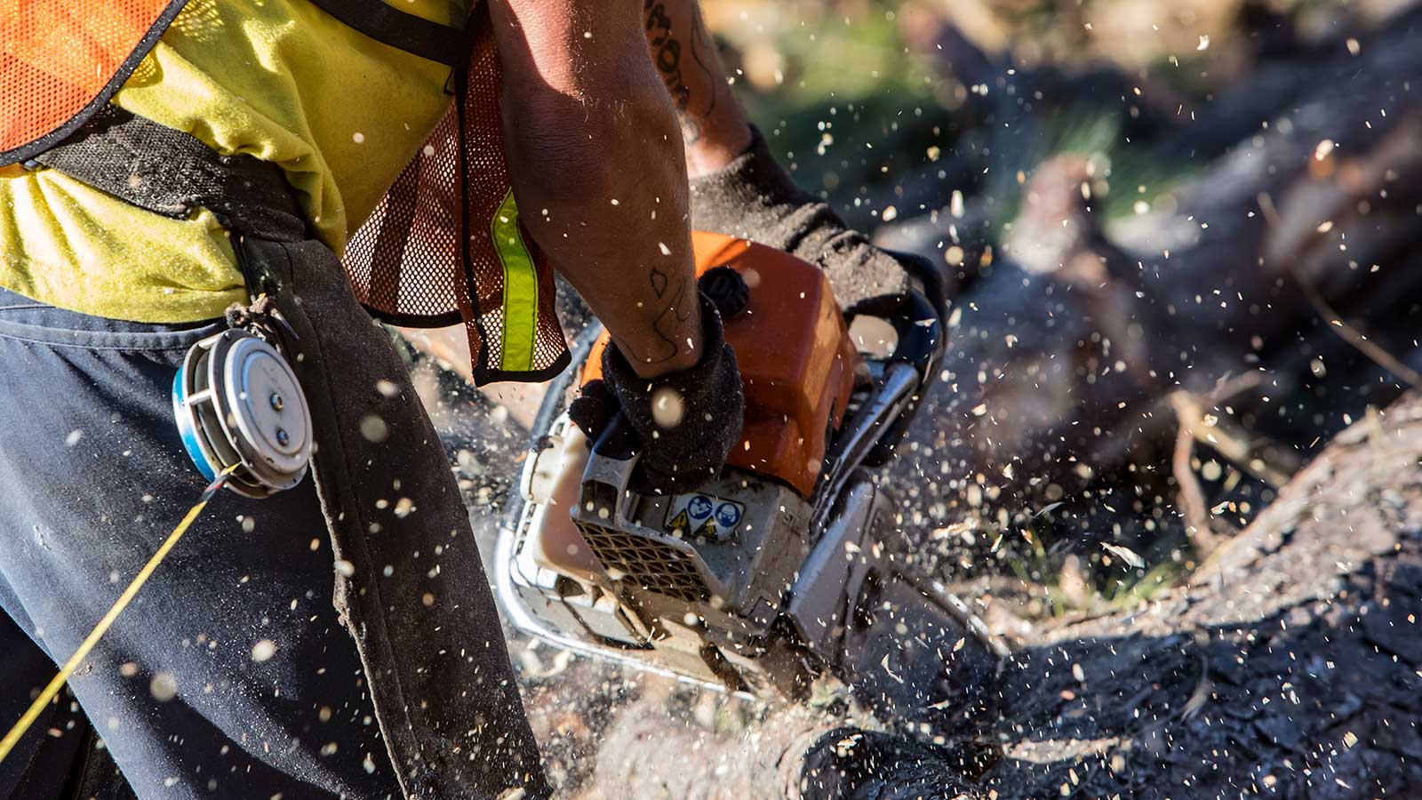 Man cutting logs with a chainsaw