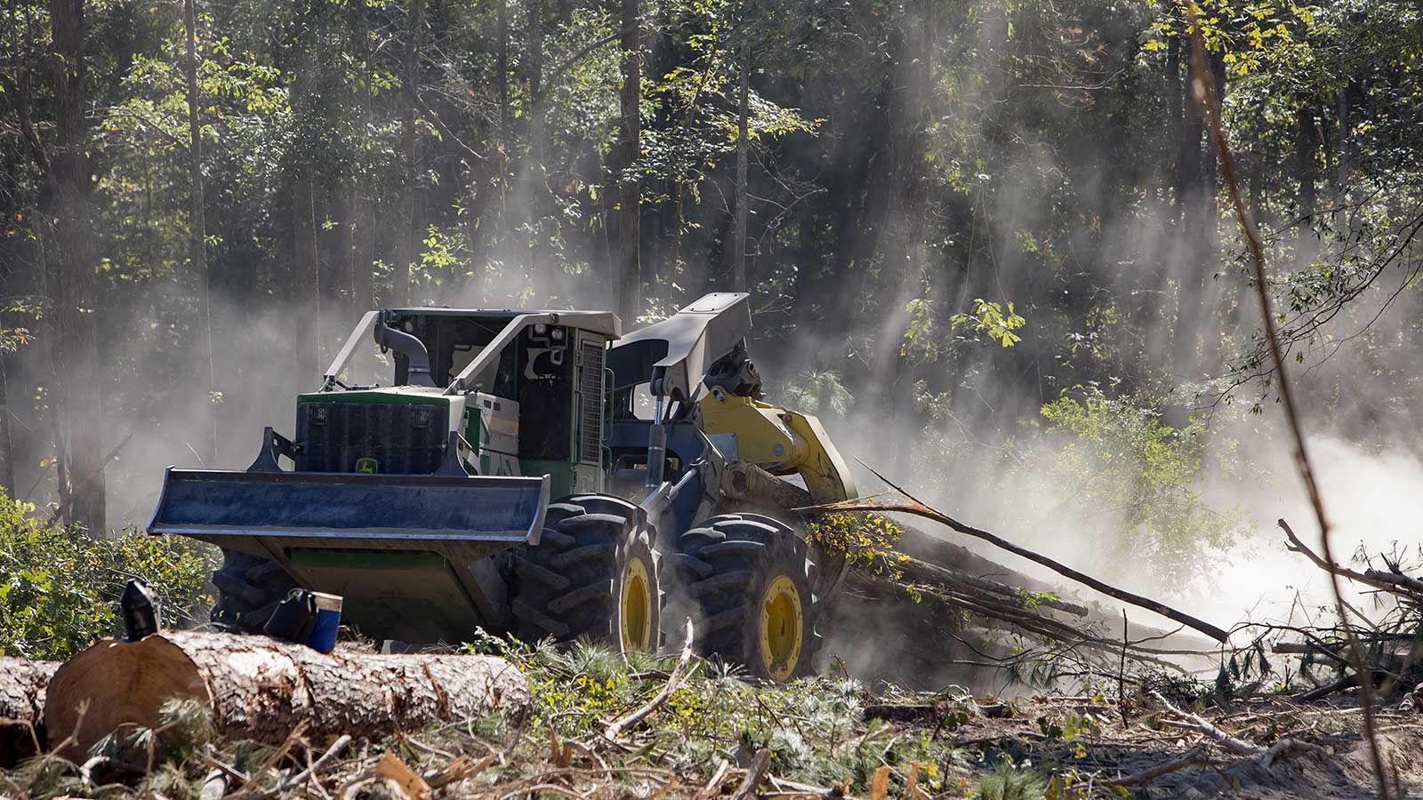 843L Wheeled Feller Buncher in the bayou