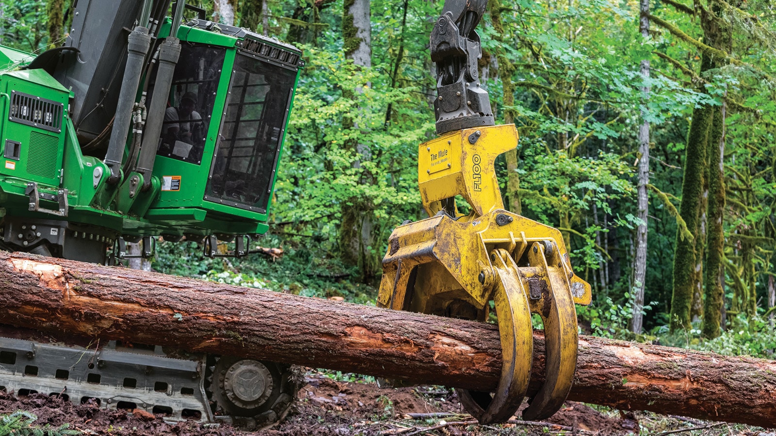 Close up of FL100 Felling Head forestry attachment working in the woods