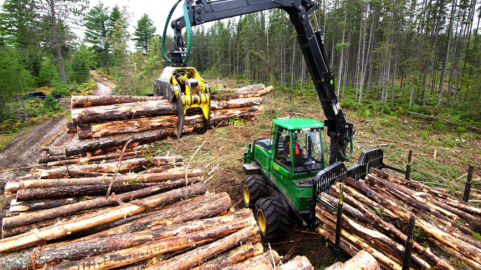 A forestry forwarder loads a grapple-full of wood from a pile onto the log bed of the machine.