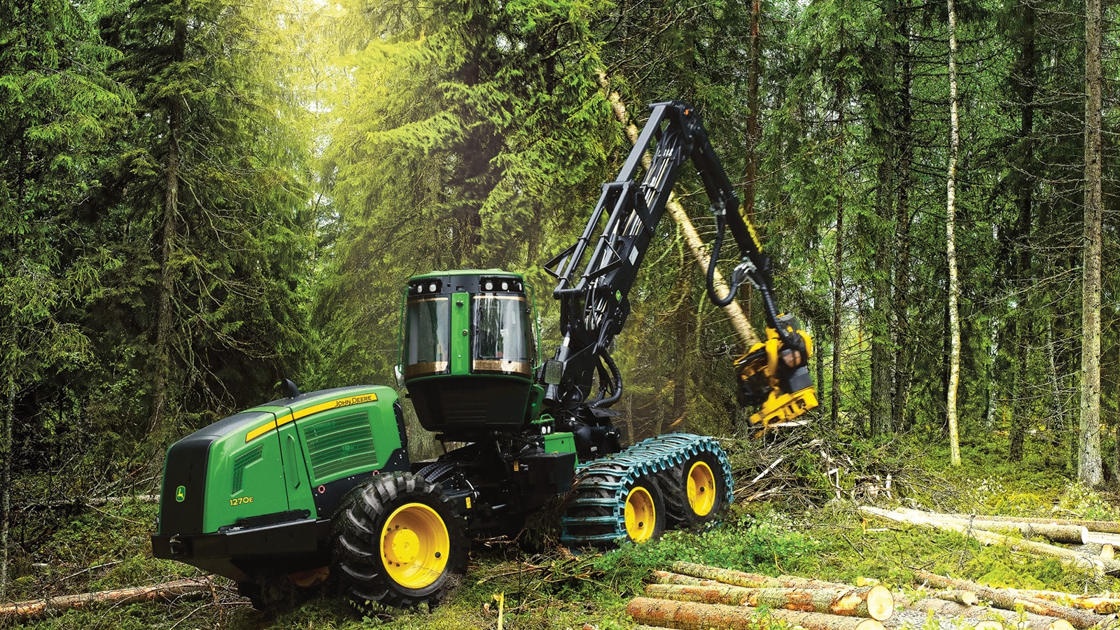 A 1270E wheeled harvester fells a pine tree in a forest