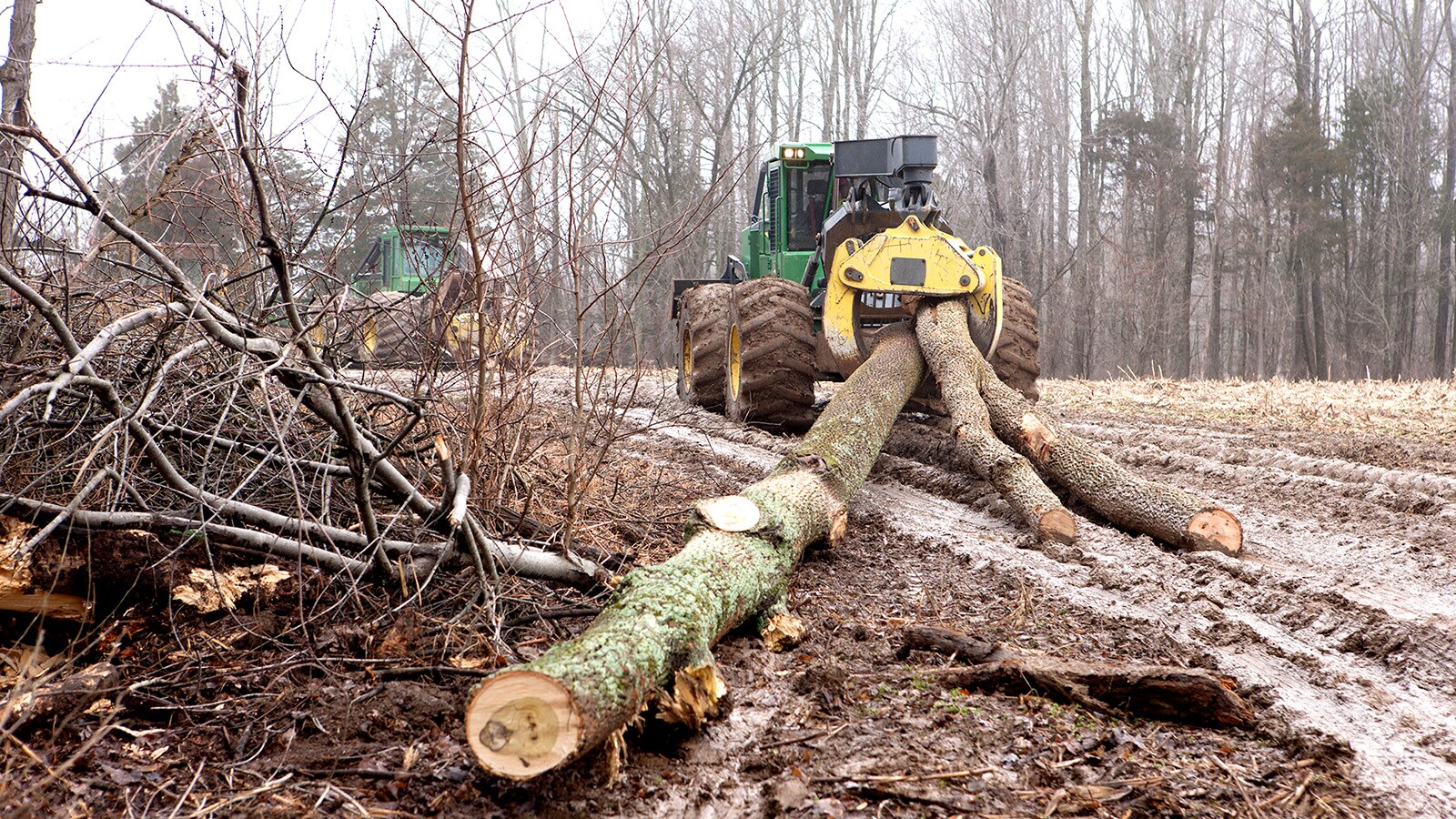 A Deere Skidder drags three logs across the snow dusted ground in the woods