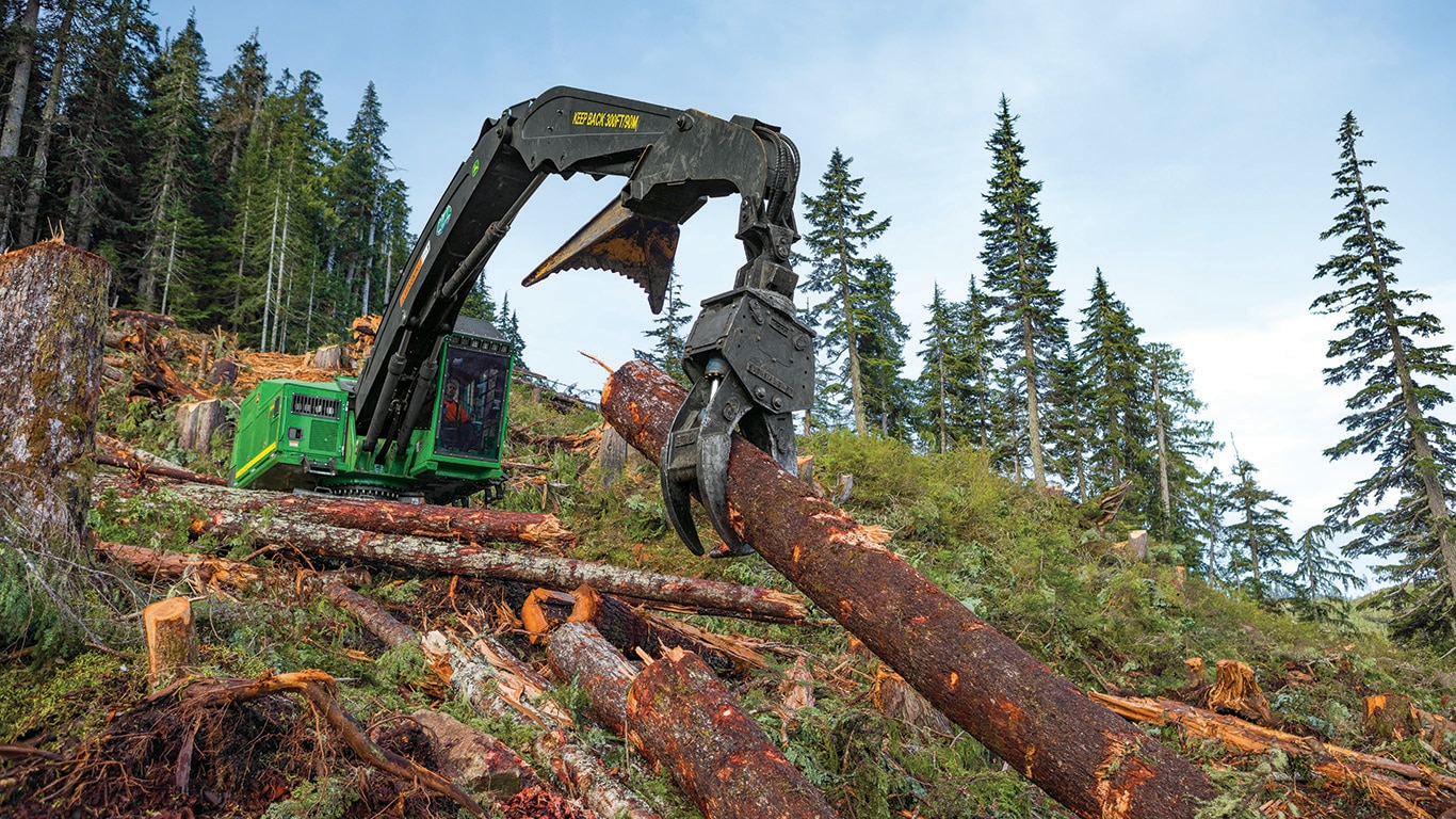 959M Tracked Feller Buncher