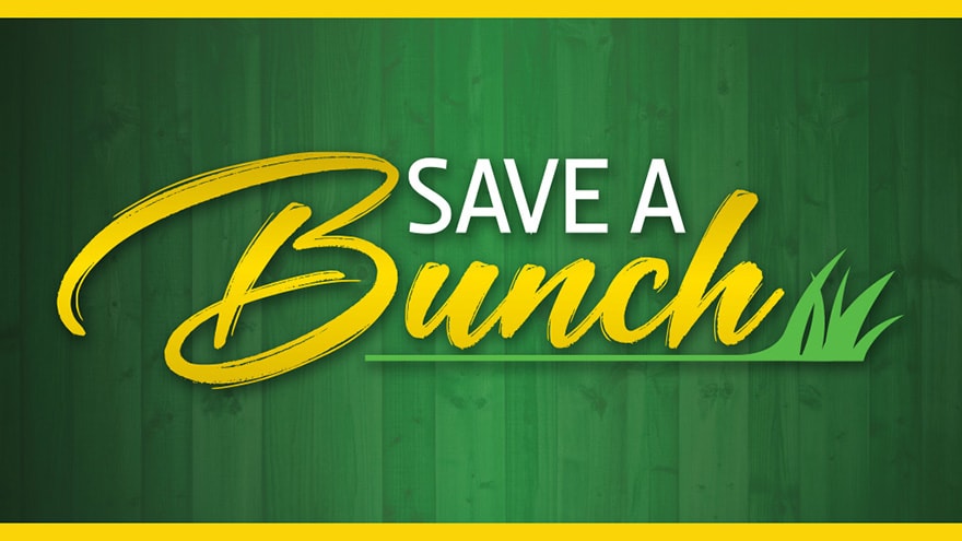 Save a bunch logo on green and yellow background