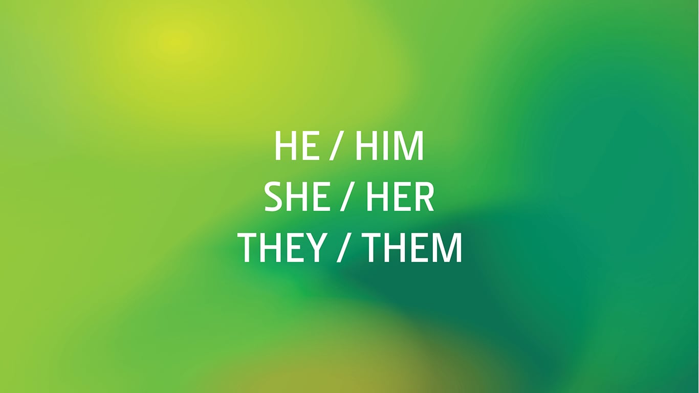 She/her He/His They/Them