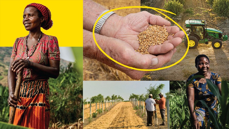 A collage of photos representing World Food Program, One Acre Fund, and The Nature Conservancy