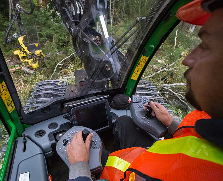 Opérateur dans la cabine d'une pièce d'équipement forestier