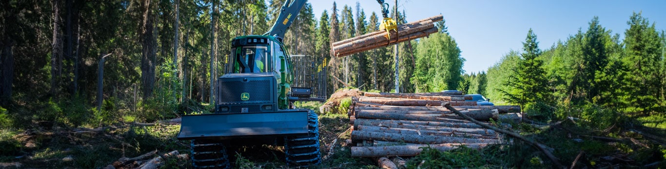 Porteur forestier John Deere empilant des grumes dans une forêt.