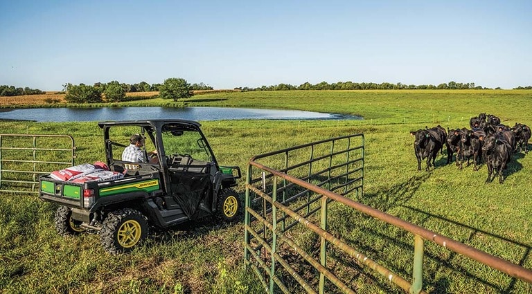 Une personne au volant de son Gator XUV835M dans le pâturage de ses vaches.