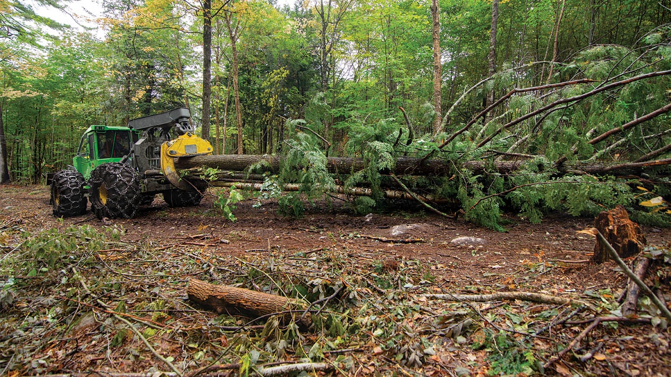 Une débardeuse de John Deere en préparation pour transporter des rondins dans une forêt