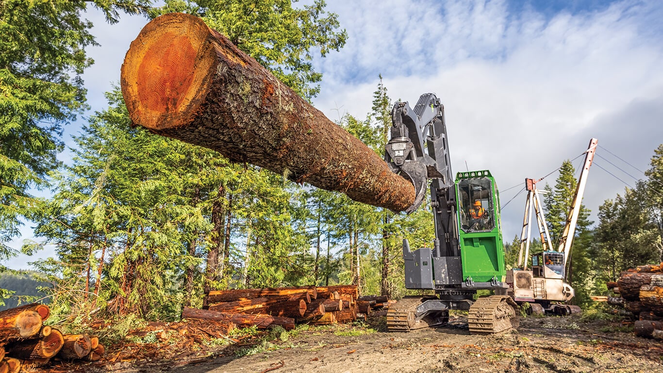 John&nbsp;Deere swing machine lifting large log on landing site