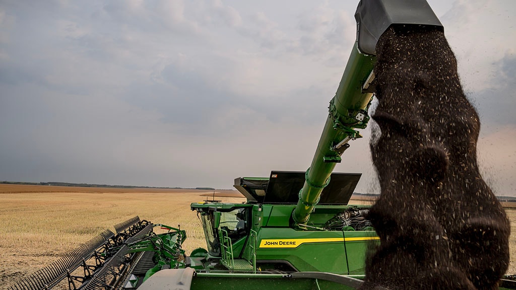 Combine auger unloading grain into grain cart.