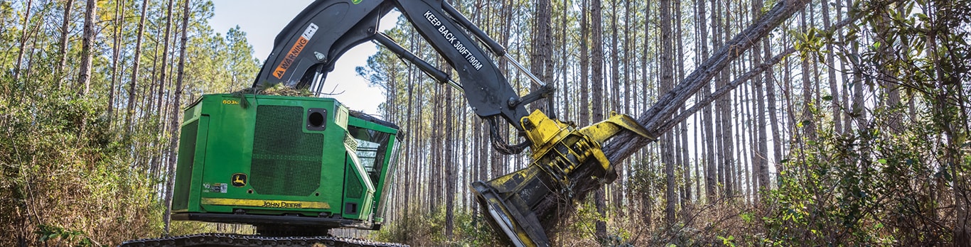 Abatteuse-groupeuse chenillée 803M de John Deere abattant un groupe d'arbres