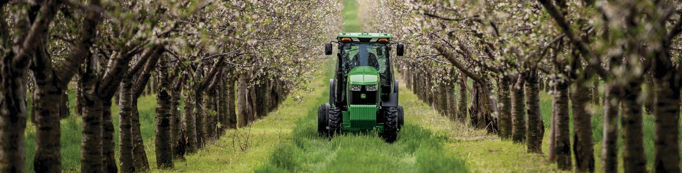 Image d'un tracteur circulant entre des arbres
