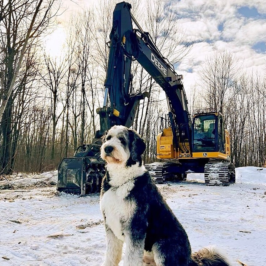Excavatrice John Deere avec un chien assis à l'avant