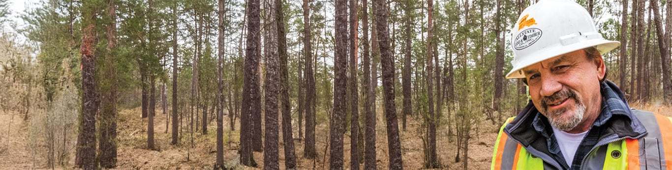 A construction worker wearing a hard hat and an orange striped vest stands in a forested area surrounded by tall trees.