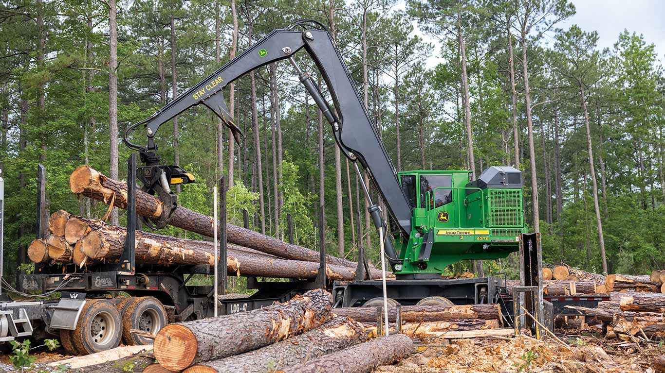 Green machine loads logs onto truck in forest with cut trees and stumps around.