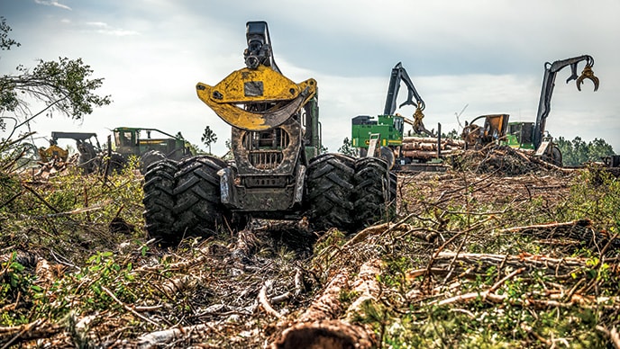 De gauche à droite. Des débardeuses à pince 848L-II et 948L-II de John Deere avec deux chargeuses à griffe 437E travaillent ensemble sur la jetée.