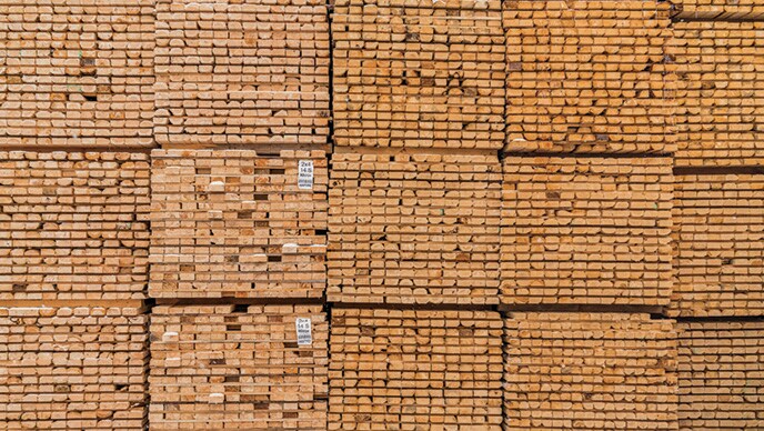 Le bois vert coupé grossièrement repose à l’extérieur en piles gigantesques, avant d’entrer dans le four de séchage de la scierie Pleasant River Lumber.