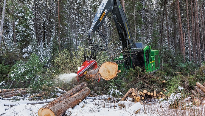 Une abatteuse-façonneuse chenillée 953MH munie d’une tête de transformation H415X de Waratah se met au travail.