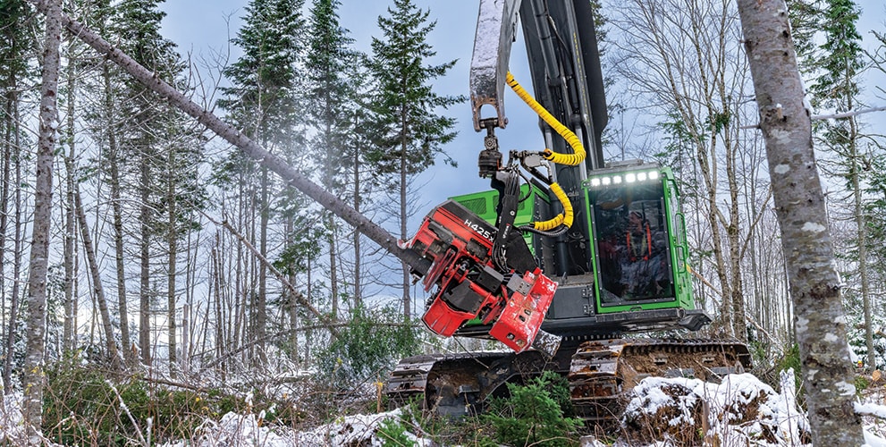 A John Deere 853MH Tracked Harvester with a Waratah H425X Harvesting Head harvests trees while the snow falls in a softwood pine forest.