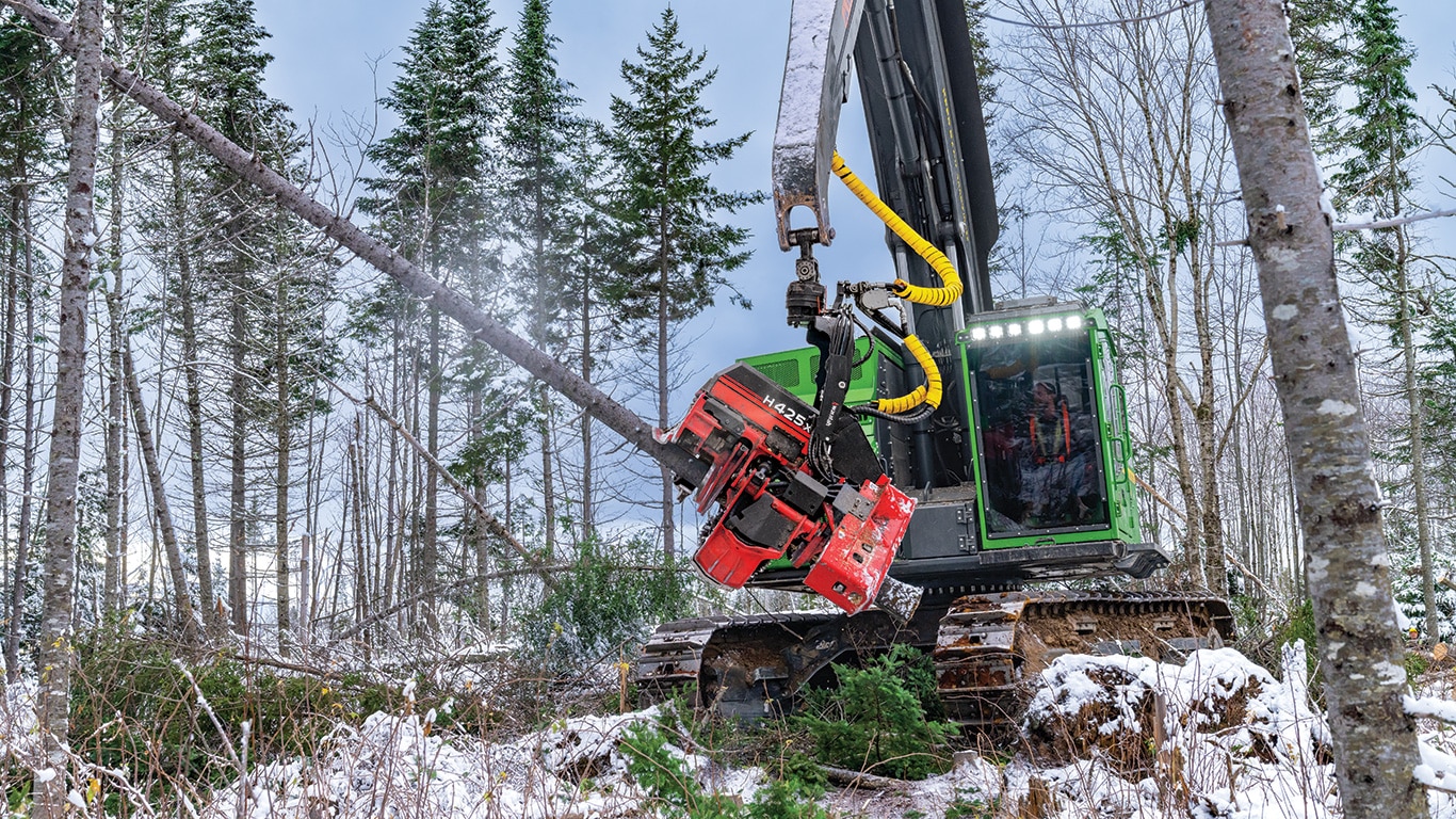 Une abatteuse-façonneuse chenillée 853MH de John Deere avec une tête d’abatteuse-façonneuse H425X de Waratah récolte des arbres pendant que la neige tombe dans une forêt de pins. 