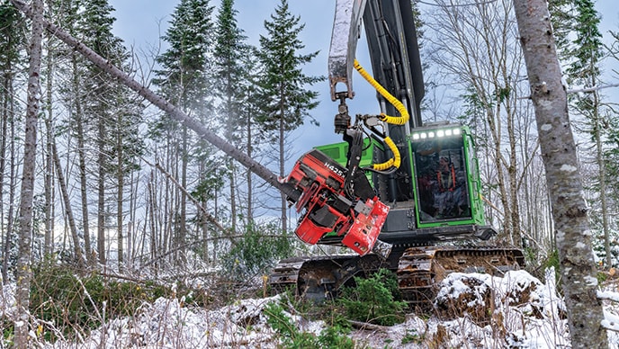 Une abatteuse-façonneuse chenillée 853MH de John Deere avec une tête d’abatteuse-façonneuse H425X de Waratah récolte des arbres pendant que la neige tombe dans une forêt de pins.