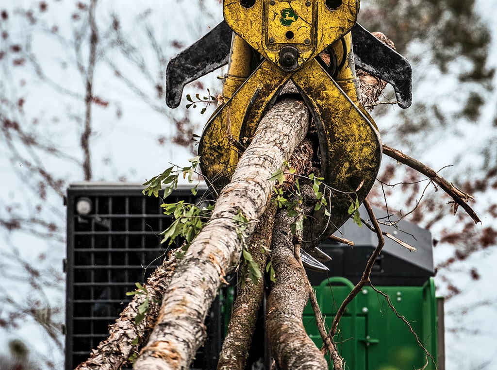 Un gros plan du grappin de la chargeuse à griffe 437E retient des arbres abattus de différentes tailles.