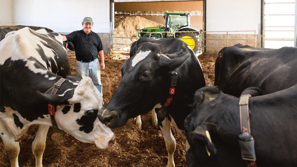 Producteur laitier prenant soin des vaches