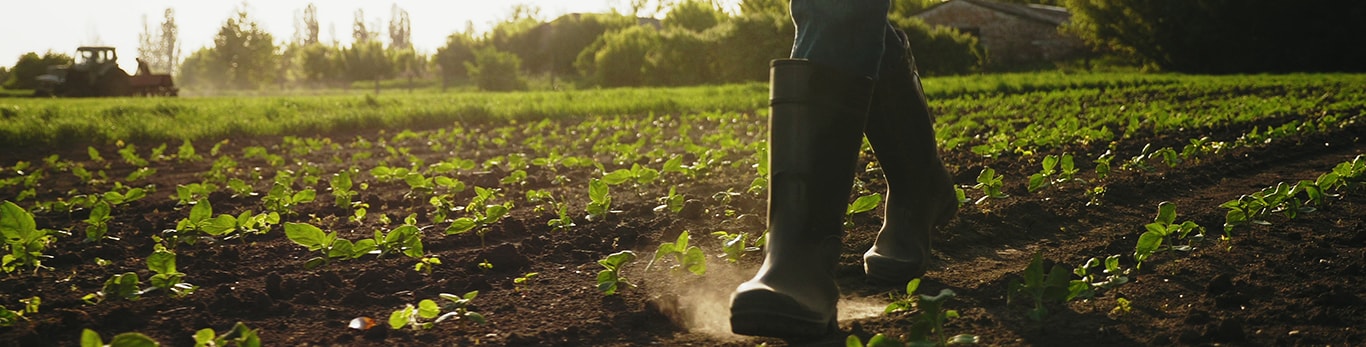 person walking through a field