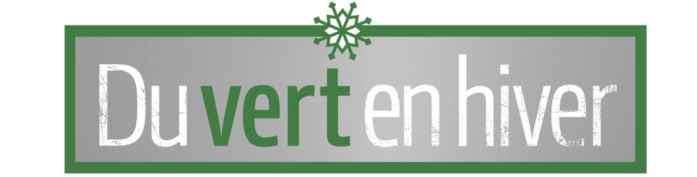 texte 'Du vert en hiver' sur fond gris