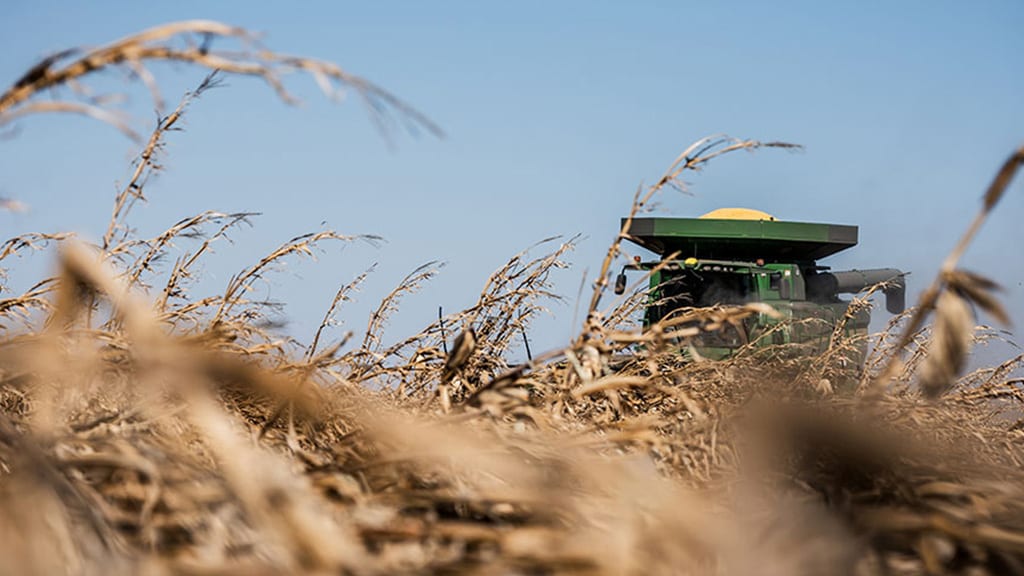 Combine in wheat field