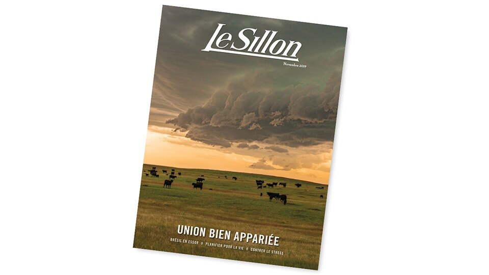 couverture de la revue Homestead