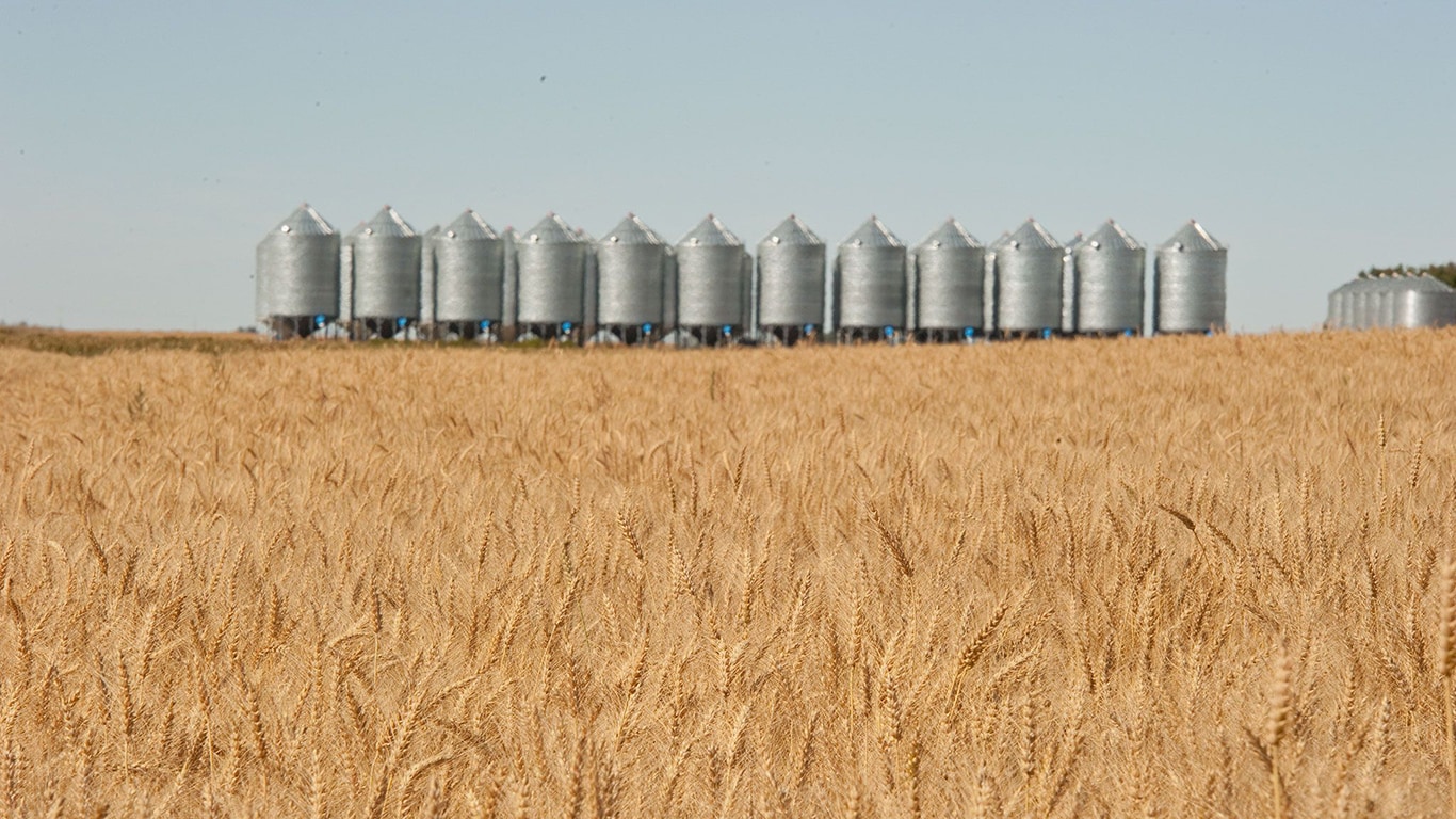 Trémies à grain pour fermes productrices de blé
