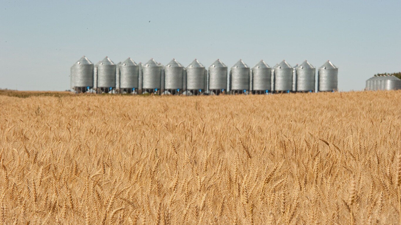 Trémies à grain pour fermes productrices de blé