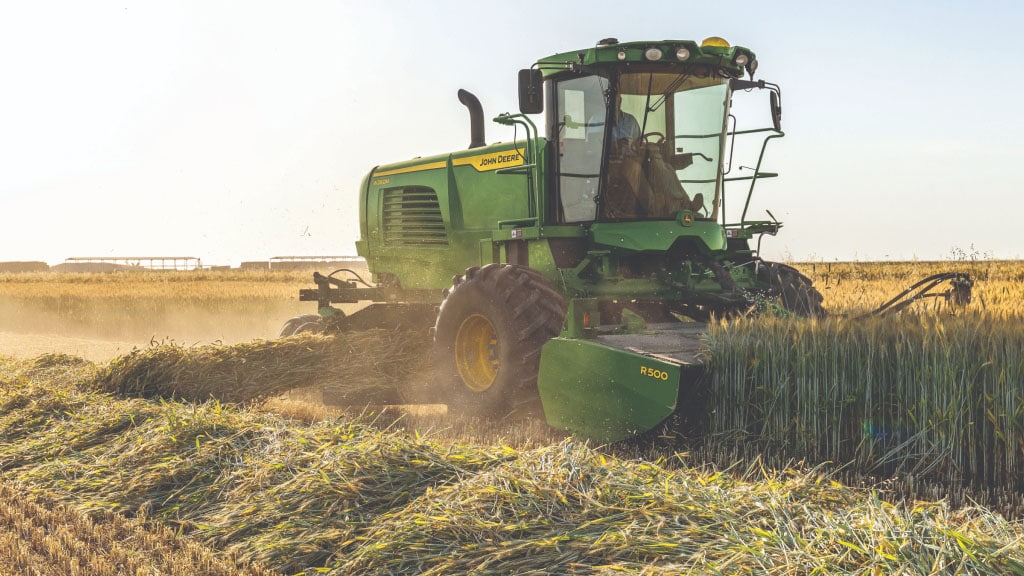 Side view of W260M Windrower cutting hay with side discharge engaged in the field