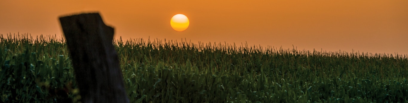 image de paysage