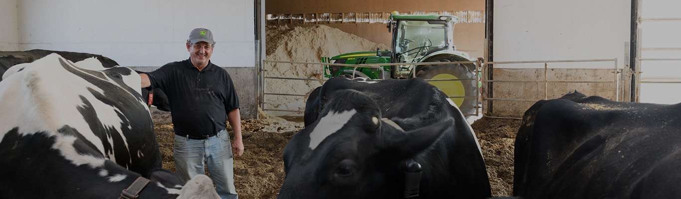 man in barn with cows