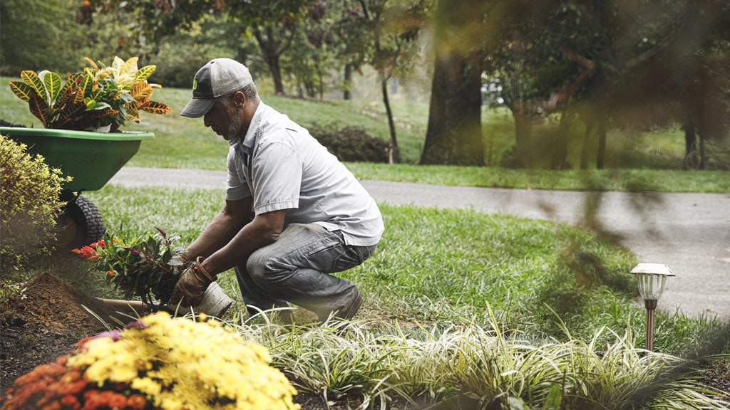 Une personne plante des fleurs dans un parterre de fleurs