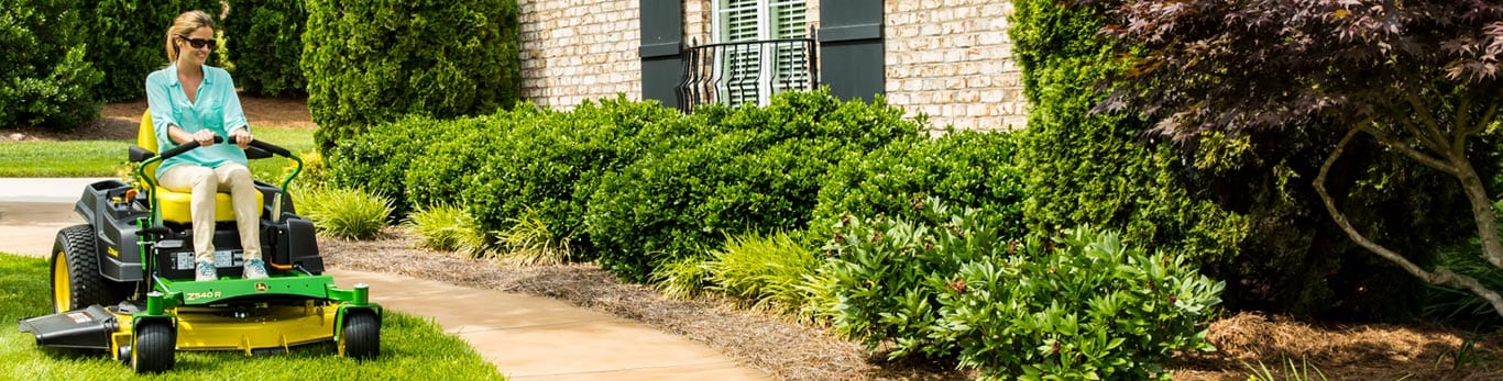Garden lawn photo