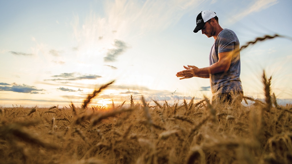 Man standing in wheat field