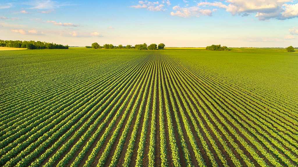 Image of flat terrain.