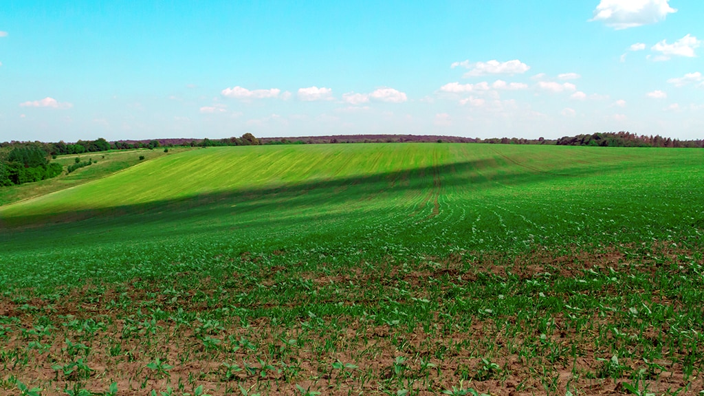 Image of gentle rolling terrain.